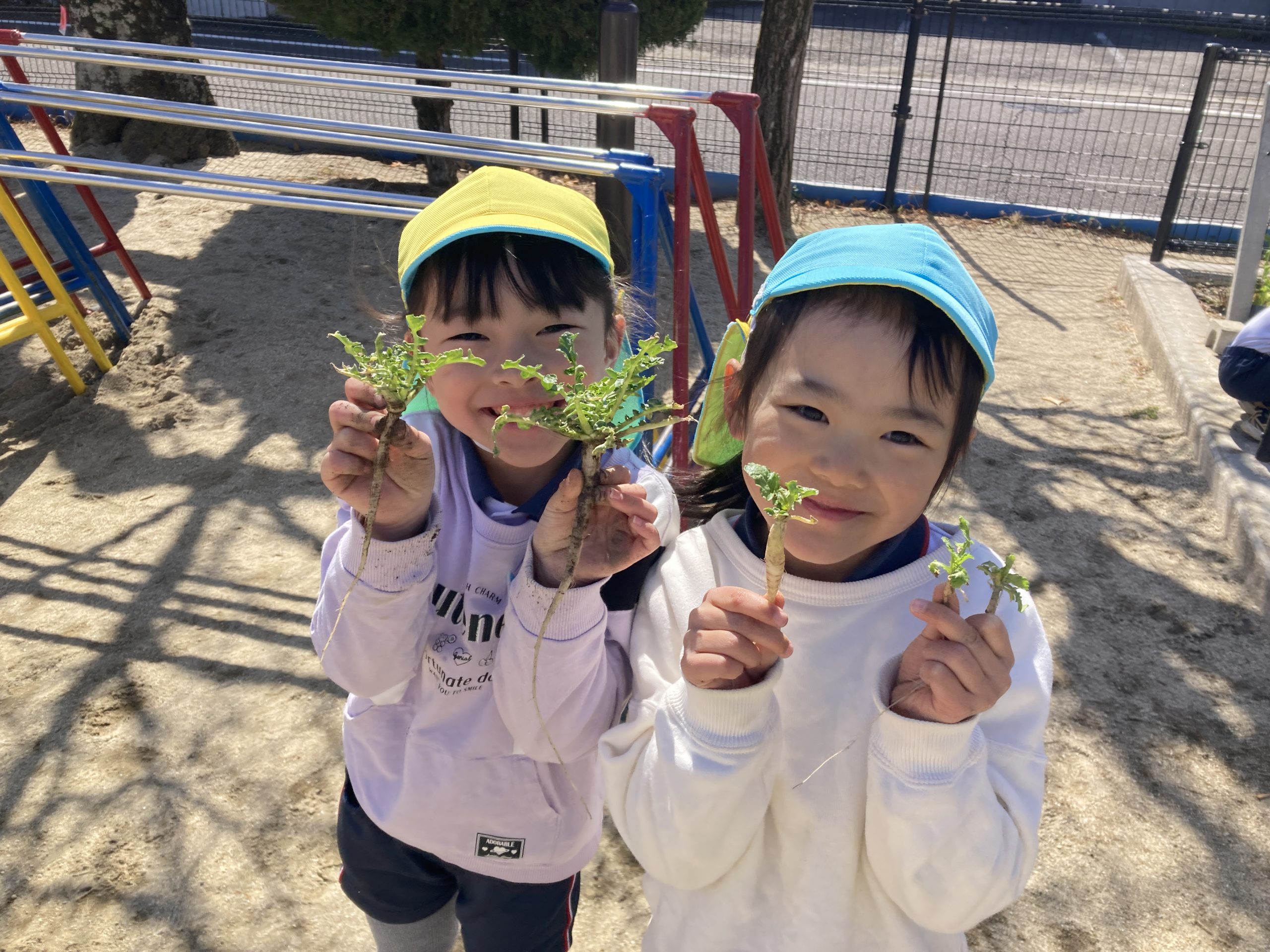 公式SNSはじめました